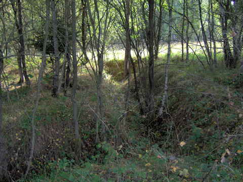 Foto 17